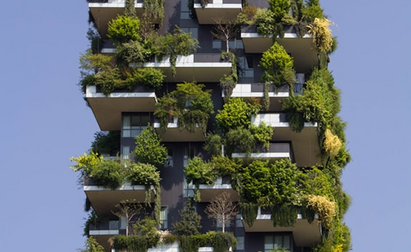 Duis mollis est non commodo luctus